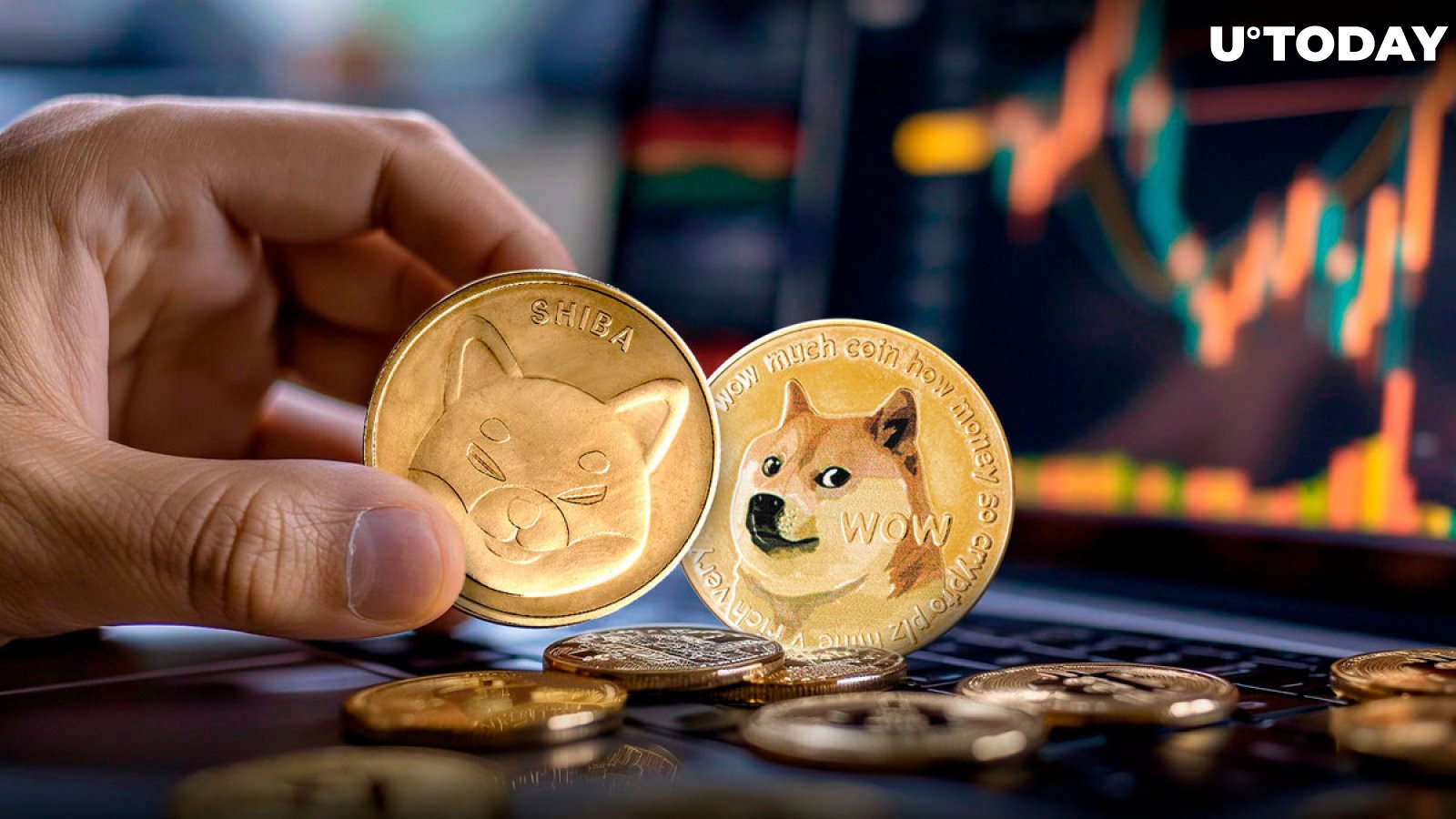 Dogecoin Founder Makes Unexpected Shiba Inu Statement