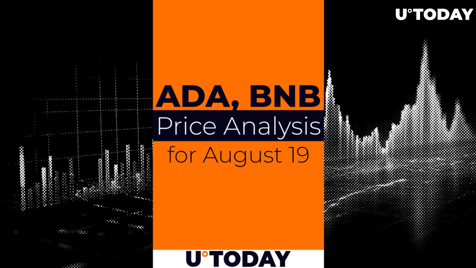 ADA and BNB Prediction for August 19