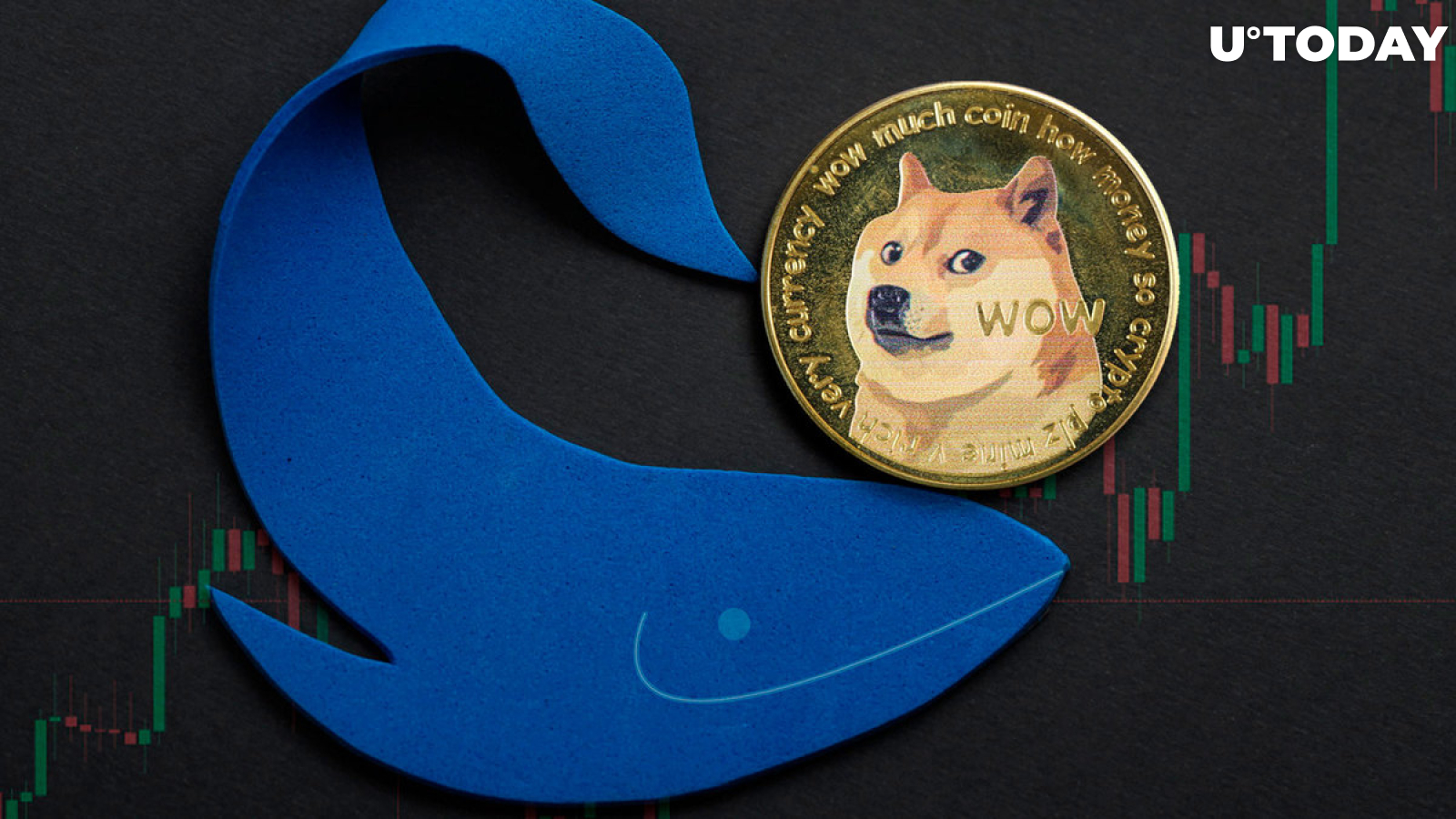 Dogecoin Rockets 1,476% With Whale Buys