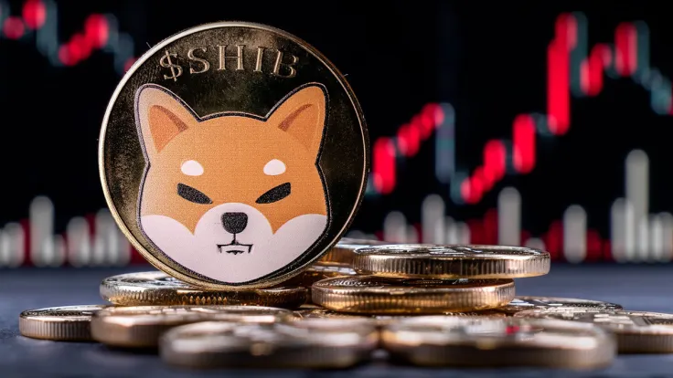 Key SHIB Metric Frozen in Past Few Days - What's Happening?