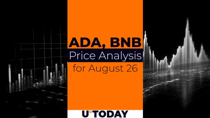 ADA and BNB Prediction for August 26