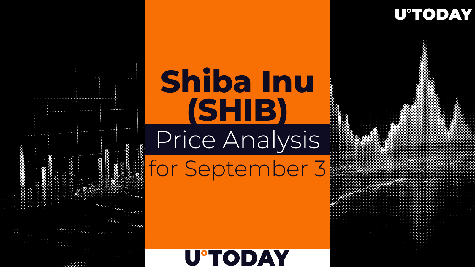  SHIB Prediction for September 3