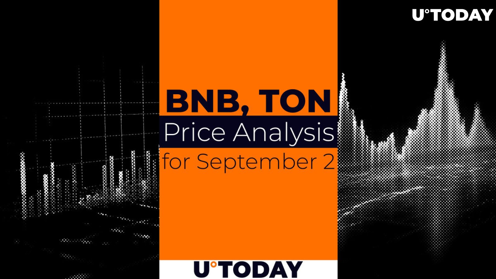 BNB and TON Prediction for September 2