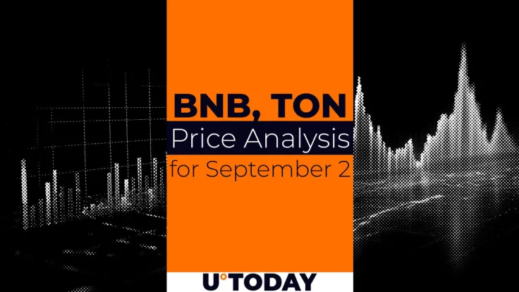 BNB and TON Prediction for September 2