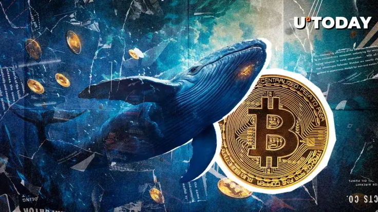 Satoshi-Era Bitcoin Wallet Makes Another Major Move