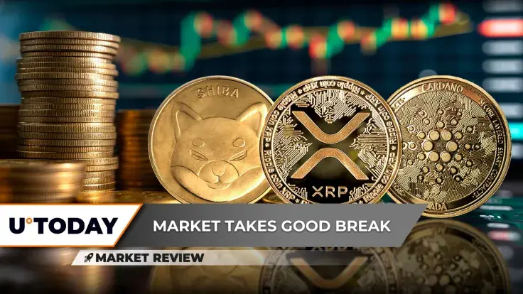 Shiba Inu (SHIB) Ready for More Growth, Will Fantastic Cardano (ADA) Growth Continue? XRP Loses 13% in One Go: What's Next?