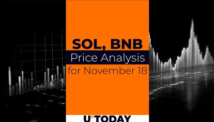 SOL and BNB Price Prediction for November 18