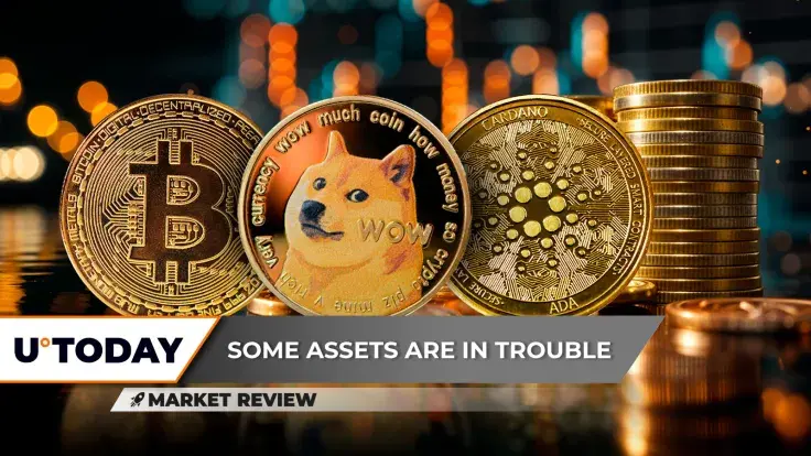 Bitcoin (BTC) at $100,000: What's Next? Dogecoin (DOGE) Failed Miserably, Cardano (ADA) Ready to Dominate?