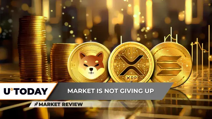 XRP Makes Comeback On RLUSD Launch, Shiba Inu (SHIB) Has No Ground Under Its Feet, Solana (SOL) Downtrend Becoming Scary