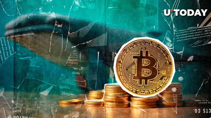 Bitcoin Whales With 10K BTC Holdings Increase — Supply Squeeze Incoming?
