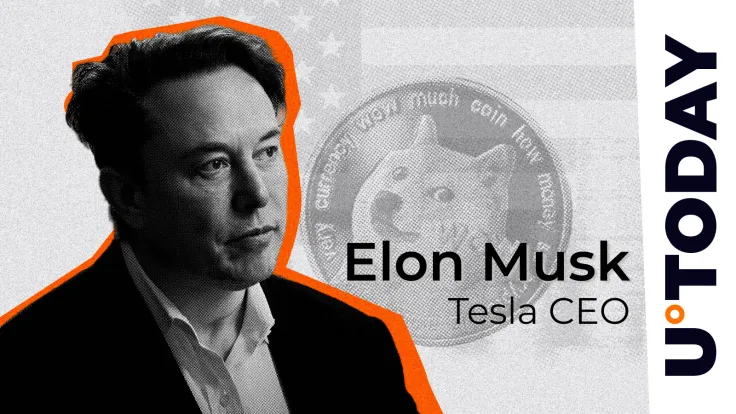 No Plans for U.S. Government to Use Dogecoin (DOGE), Elon Musk Says