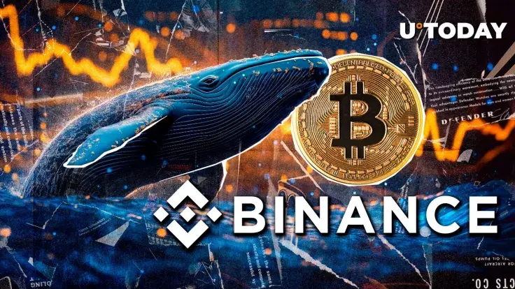 $170 Million in Bitcoin Moved Amid Crypto Market Retreat