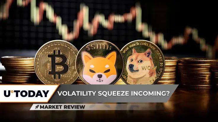 Bitcoin (BTC) Absolutely Getting Squeezed, Shiba Inu (SHIB) Volume Nears Zero, Dogecoin (DOGE) Investors Melting Away
