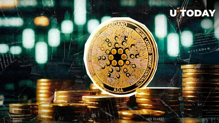 Cardano (ADA) Market Cap Share Spikes Overnight: Whales Buying?