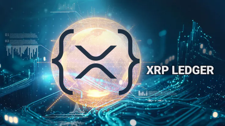 All XRP Ledger Network Metrics Record Growth: Report