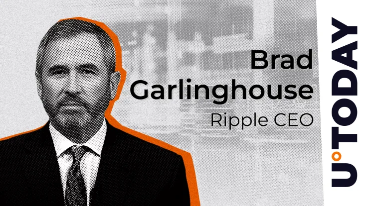 Ripple CEO Ruthlessly Trolled by VanEck's Head of Crypto Research