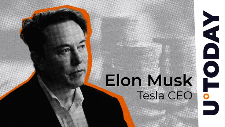 Elon Musk Asks Question That Stuns Crypto Community on X