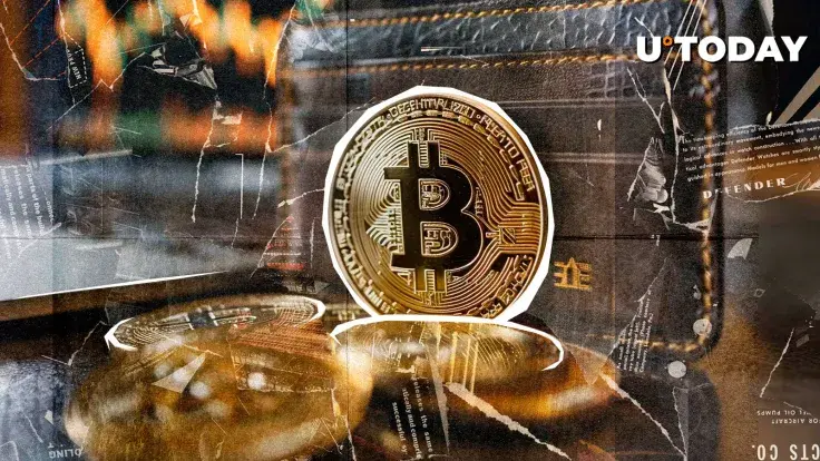 344,620 New Bitcoin Wallets, Mega FOMO Just Entered Market