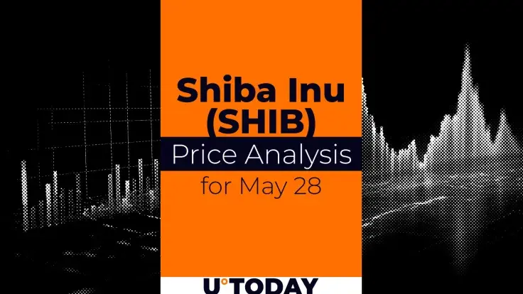 SHIB Price Prediction for May 28