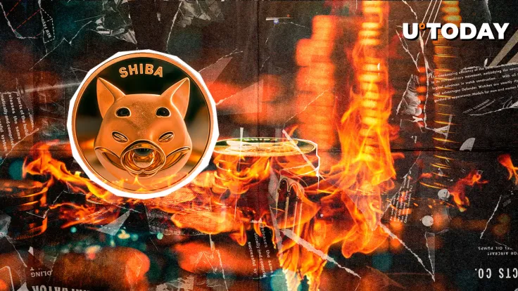 SHIB Burns Skyrocket 5,404.56% — What's Happening?