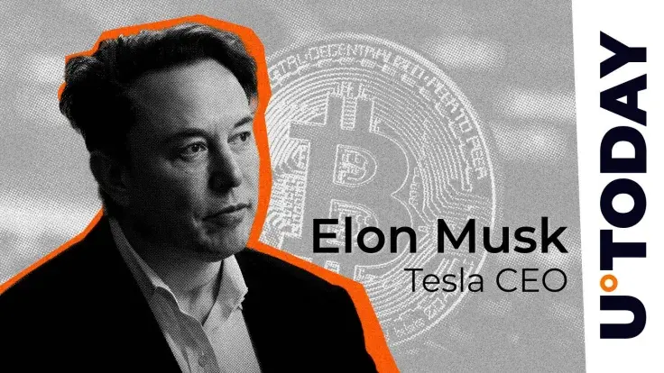 Musk Might Buy $100 Billion Worth of Bitcoin, DeFi Veteran Quips