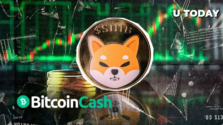 Shiba Inu (SHIB) Just $1.4 Billion Away From Flipping Bitcoin Cash
