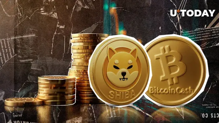 Shiba Inu vs. Bitcoin Cash: Who Wins in New Market Tussle?