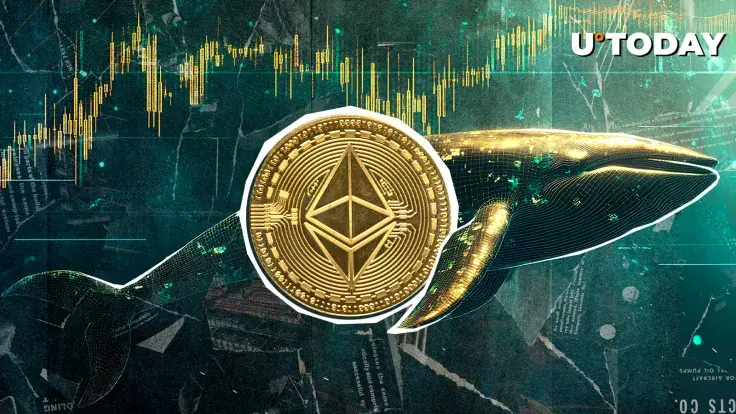 $374 Million in ETH Moved in Mere Hours, What Are Whales Up To?