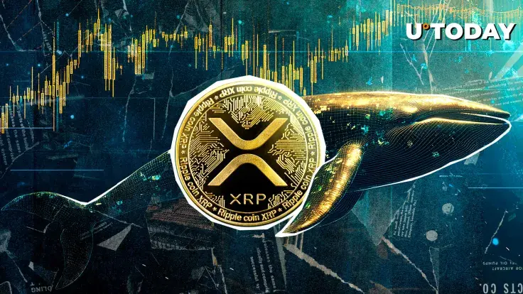 Mysterious Whale Suffers Epic $4,497,377 XRP Liquidation, But Here's Twist