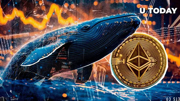 New Ethereum Whale Receives $84 Million in ETH