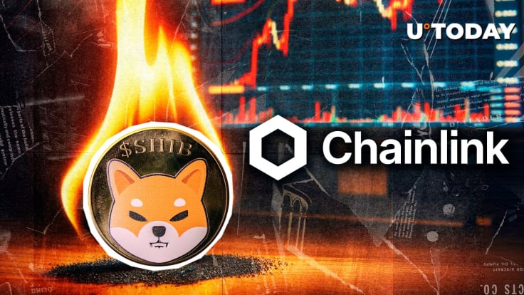 Shiba Inu Developer Reveals How Chainlink Burns SHIB: Details