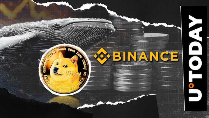 32,900,000 DOGE Exit Binance as New Dogecoin Whale Is Born: Details
