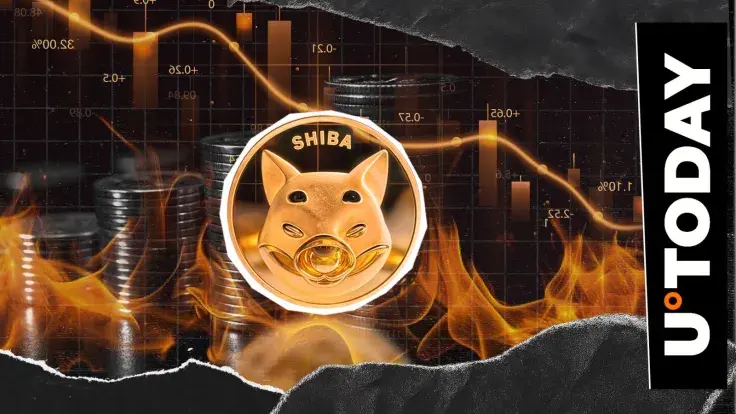 SHIB Burns Collapse 55% Amid SHIB Price Decline