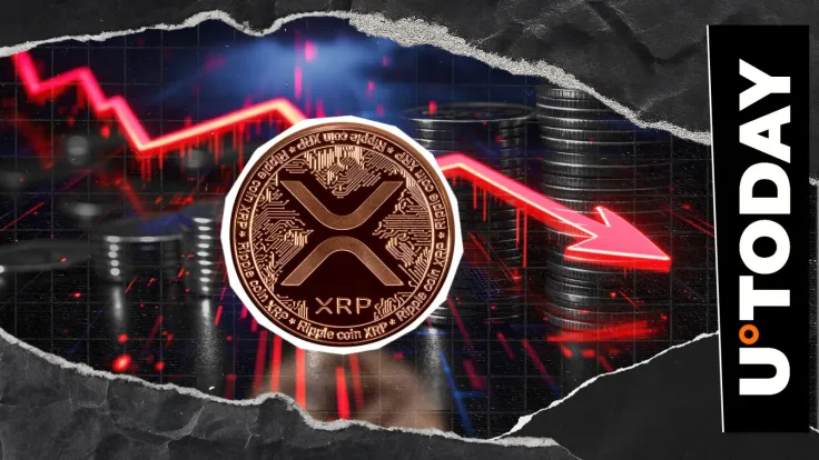 XRP Loses 50% in 24 Hours: Activity Disappears