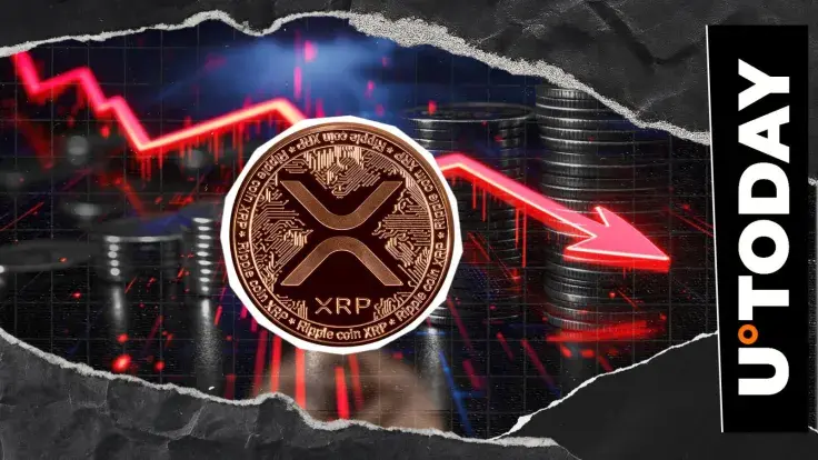XRP Hit by 710% Liquidation Imbalance in Just 24 Hours