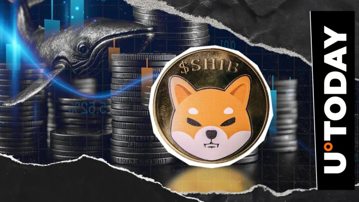 1,000,000,000,000 SHIB Grab Sparks New Whale Mystery for Shiba Inu Coin