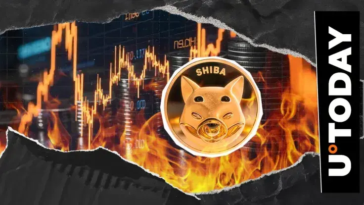 9,008,448 SHIB Burned in Days: Shiba Inu Metric Rockets 10,021%