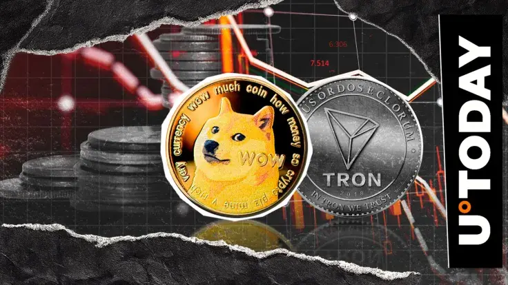 Tron Might Soon Overtake Dogecoin as DOGE Price Eyes Biggest Daily Drawdown