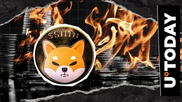 Shiba Inu (SHIB) Burn Rate at 0: Why Did It End?