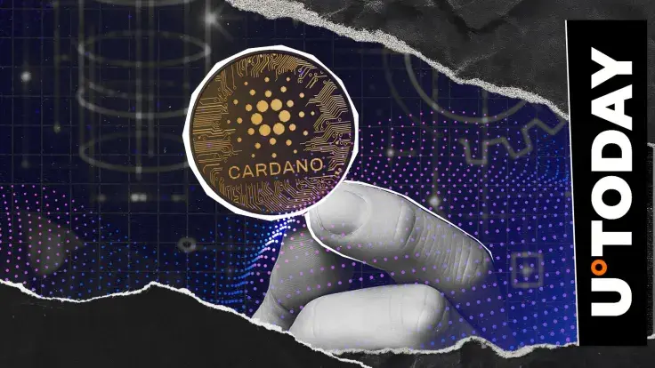 دعوة مطوري Cardano (ADA) لمشاركة التغذية الراجعة حول النظام البيئي