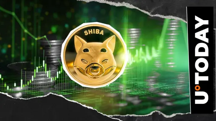 Shiba Inu (SHIB) up 988% in Only 24 Hours: This Is Crucial
