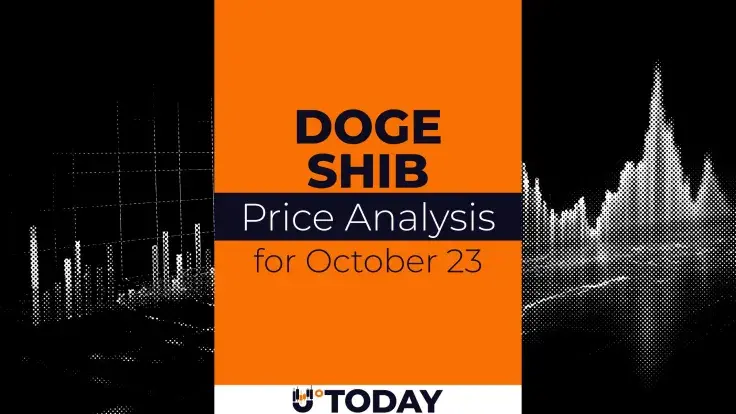 DOGE and SHIB Price Analysis for October 23