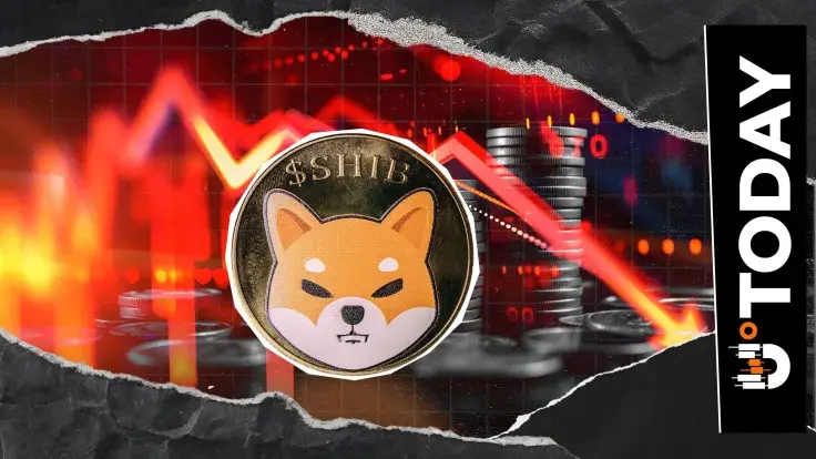 -19,685,880,237 Shiba Inu (SHIB) in 24 Hours: Netflows Turn into Downfalls
