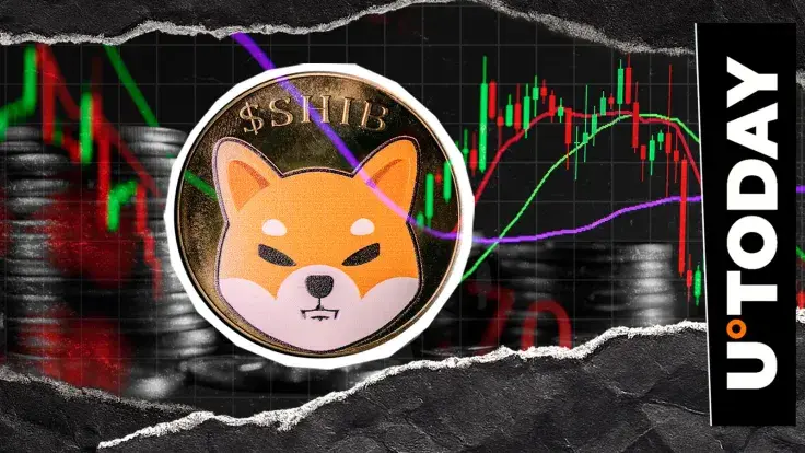 300,000,000,000 Shiba Inu (SHIB) Drop in 2 Days: Pump Coming