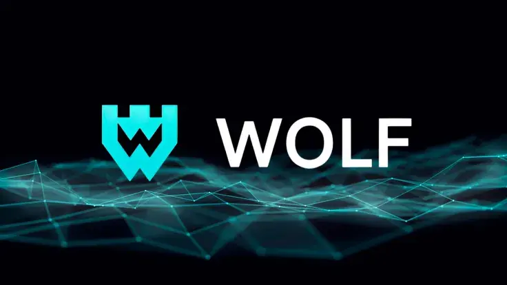 Wolf DeFi Hub Locks 57% of Total Supply for Two Years: Details