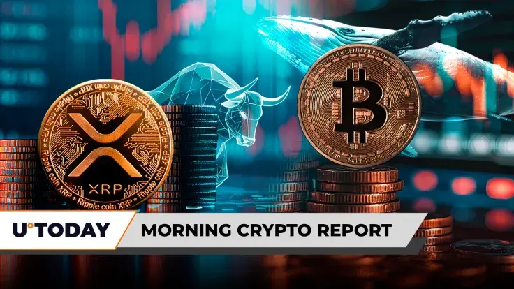 Morning Crypto Report: 'Bitcoin Jesus' Free? XRP Bulls Crushed in 3,192% Liquidation Imbalance Bloodbath, Whale Bets $600 Million Against BTC