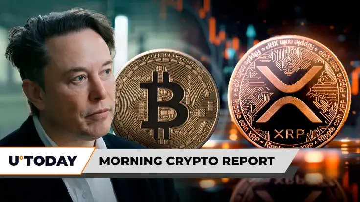 Morning Crypto Report: Elon Musk Breaks Silence on Bitcoin With 'Fake Currency' Rant, XRP Eyes Brutal $6,000,000,000 Sell-Off, China Triggers Crypto Market Bloodbath