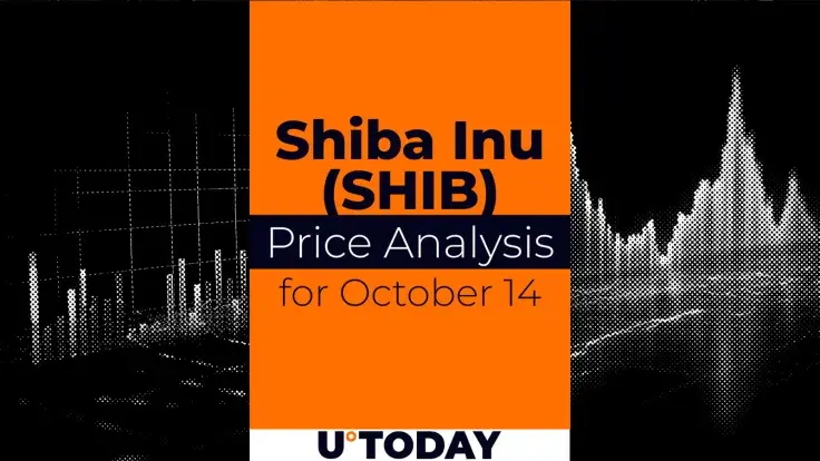 SHIB Price Analysis for October 14