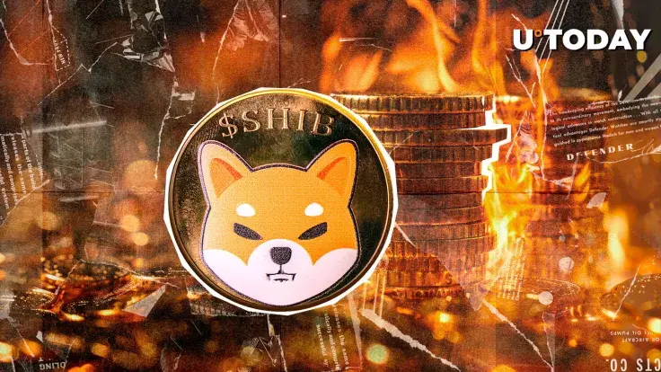 Shiba Inu: 43 Million Tokens Burned as SHIB Metric Surges 27,014%