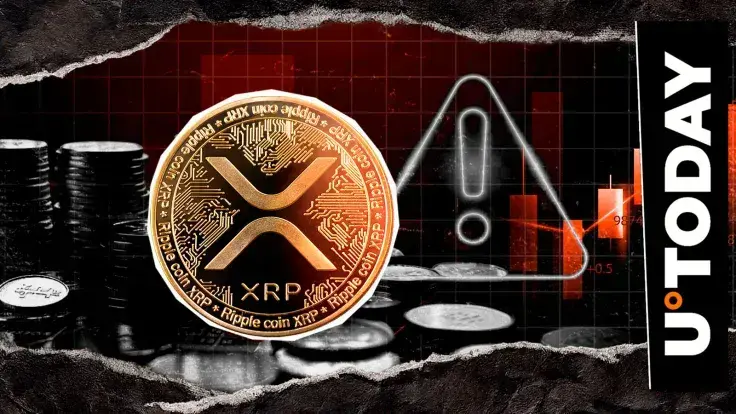 'Protect Your XRP': Analyst Issues Warning to Crypto Community